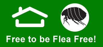 Flea & Tick Spraying