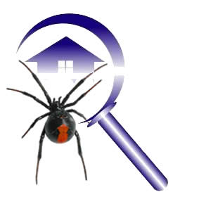 Pest Inspect