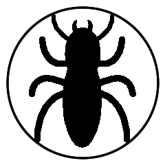 Termite Spray Services