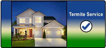 Termite Service Company